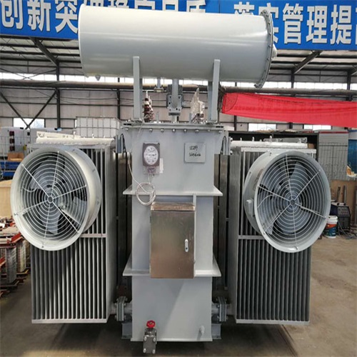 乐东S22-2500KVA变压器